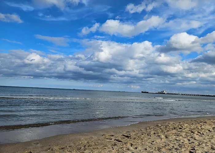 Baltic Swans - Daire Sopot