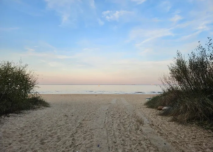 Baltic Swans - Daire *