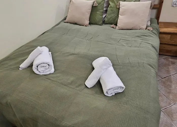 Baltic Swans - Daire Sopot